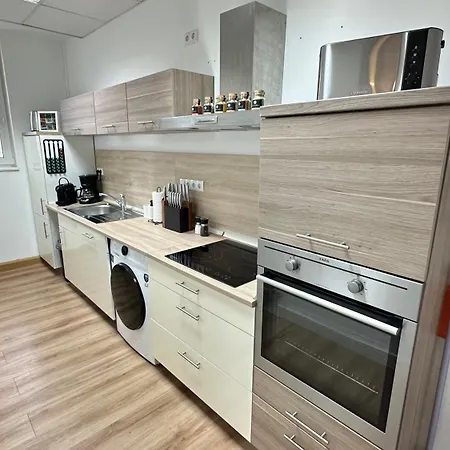 Loft - Sauna - 4 Schlafzimmer - 2 Baeder - Stadtmitte - 2 Parkplaetze Špýr