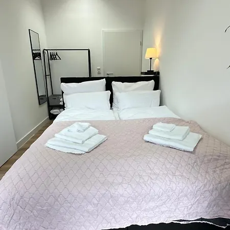 Loft - Sauna - 4 Schlafzimmer - 2 Baeder - Stadtmitte - 2 Parkplaetze Apartmán Špýr