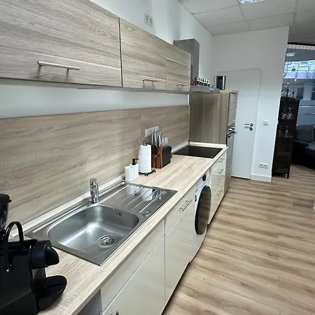 Apartmán Loft - Sauna - 4 Schlafzimmer - 2 Baeder - Stadtmitte - 2 Parkplaetze *