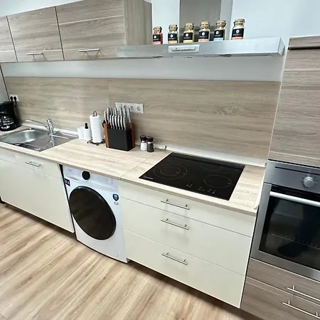 Апартаменты Loft - Sauna - 4 Schlafzimmer - 2 Baeder - Stadtmitte - 2 Parkplaetze